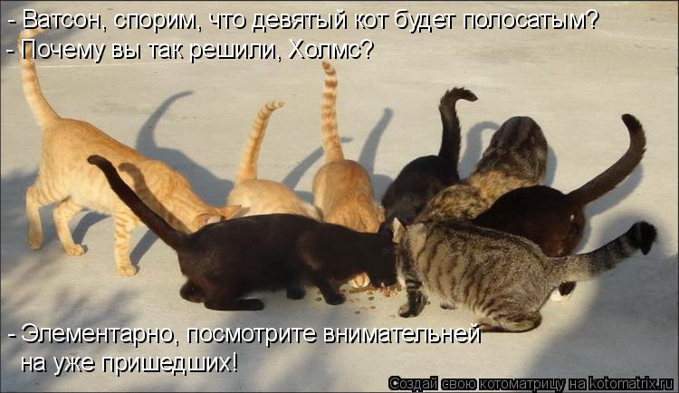 Котоматрица: - Ватсон, спорим, что девятый кот будет полосатым? - Почему вы так решили, Холмс? - Элементарно, посмотрите внимательней  на уже пришедших!