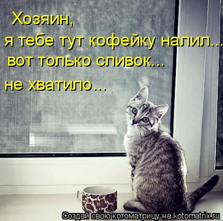 Котоматрица: Хозяин, я тебе тут кофейку налил... вот только сливок... не хватило...