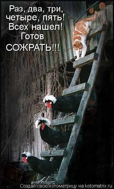 Котоматрица: Раз, два, три,  четыре, пять! Всех нашел! Готов  СОЖРАТЬ!!!