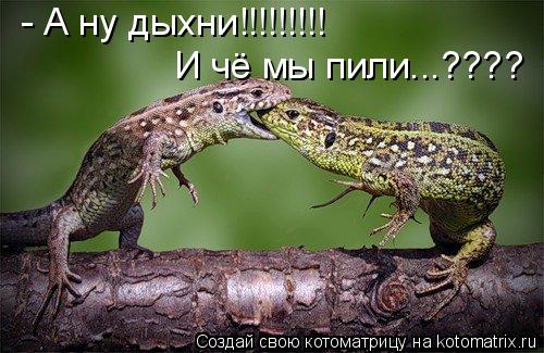 Котоматрица: - А ну дыхни!!!!!!!!! И чё мы пили...????