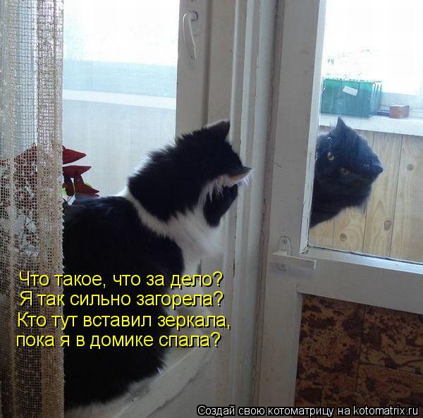 Котоматрица: Что такое, что за дело? Я так сильно загорела? Кто тут вставил зеркала, пока я в домике спала?