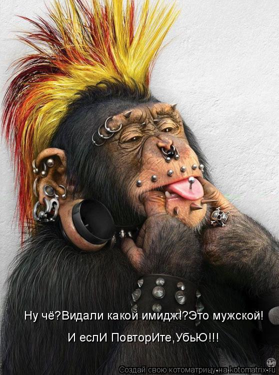 Ну чё?Видали какой имидж!?Это мужской! И еслИ ПовторИте,УбьЮ!!!... Котоматрица: Ну чё?Видали какой имидж!?Это мужской! И еслИ ПовторИте,УбьЮ!!!
