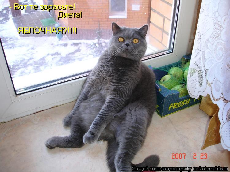 - Вот те здрасьте! Диета! ЯБЛОЧНАЯ?!!!!... Котоматрица: - Вот те здрасьте! Диета! ЯБЛОЧНАЯ?!!!!