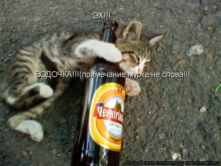 ЭХ!!! ВОДОЧКА!!!(примечание:мурке не слова!!!... Котоматрица: ЭХ!!! ВОДОЧКА!!!(примечание:мурке не слова!!!