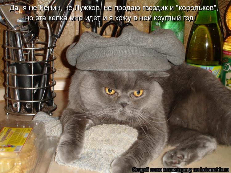 Да, я не Ленин, не Лужков, не продаю гвоздик и "корольков", но эта кепка мне идет и я хожу в ней кру... Котоматрица: Да, я не Ленин, не Лужков, не продаю гвоздик и "корольков", но эта кепка мне идет и я хожу в ней круглый год!