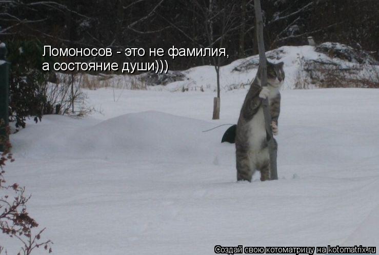 Ломоносов - это не фамилия, а состояние души)))... Котоматрица: Ломоносов - это не фамилия, а состояние души)))