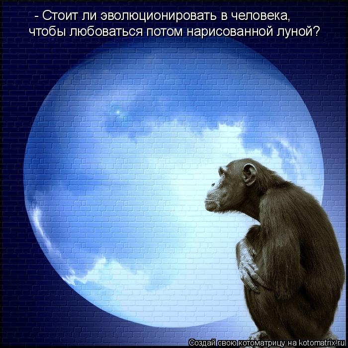 - Стоит ли эволюционировать в человека, чтобы любоваться потом нарисованной луной?... Котоматрица: - Стоит ли эволюционировать в человека, чтобы любоваться потом нарисованной луной?