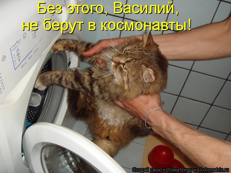 Без этого, Василий, не берут в космонавты!... Котоматрица: Без этого, Василий, не берут в космонавты!