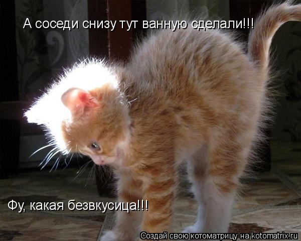 А соседи снизу тут ванную сделали!!! Фу, какая безвкусица!!!... Котоматрица: А соседи снизу тут ванную сделали!!! Фу, какая безвкусица!!!