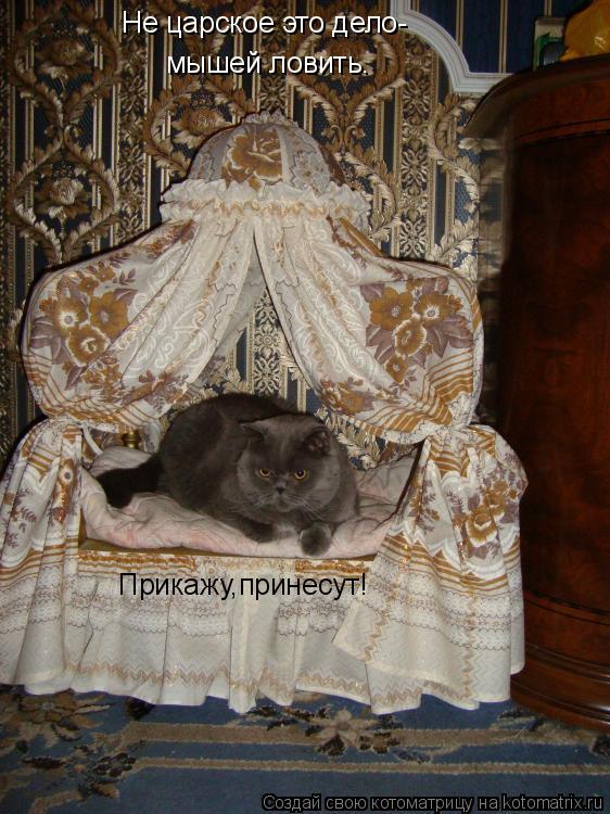 Котоматрица: Не царское это дело- мышей ловить. Прикажу,принесут!