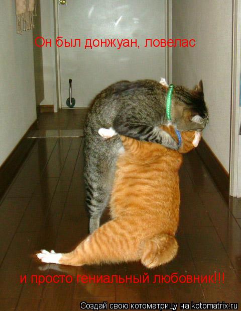Котоматрица: Он был донжуан, ловелас  и просто гениальный любовник!!!