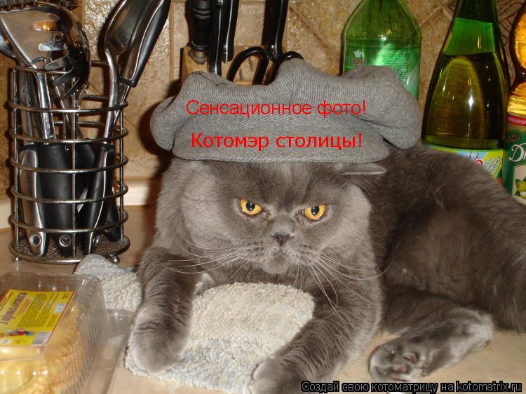 Котоматрица: Сенсационное фото! Котомэр столицы!