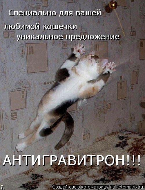 Котоматрица: Специально для вашей  любимой кошечки уникальное предложение АНТИГРАВИТРОН!!!