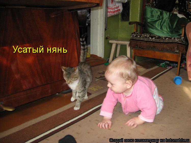 Котоматрица: Усатый нянь