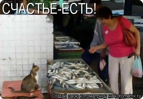 Котоматрица: СЧАСТЬЕ-ЕСТЬ!