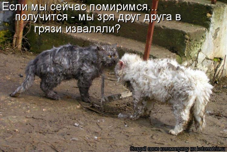 Если мы сейчас помиримся... получится - мы зря друг друга в грязи изваляли?... Котоматрица: Если мы сейчас помиримся... получится - мы зря друг друга в грязи изваляли?