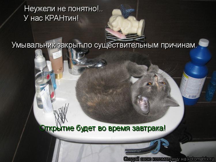 Котоматрица: Неужели не понятно!.. У нас КРАНтин! Умывальник закрыт по существительным причинам. Открытие будет во время завтрака!