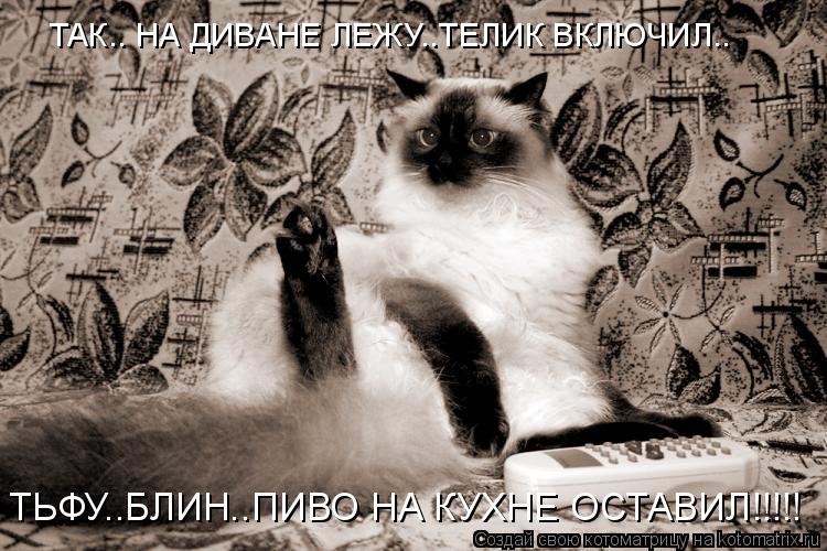 Котоматрица: ТАК.. НА ДИВАНЕ ЛЕЖУ..ТЕЛИК ВКЛЮЧИЛ.. ТЬФУ..БЛИН..ПИВО НА КУХНЕ ОСТАВИЛ!!!!!
