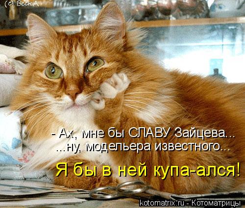 Котоматрица: - Ах, мне бы СЛАВУ Зайцева...  ...ну, модельера известного... Я бы в ней купа-ался!