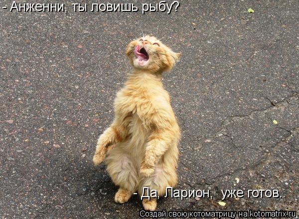 Котоматрица: - Анженни, ты ловишь рыбу? - Да, Ларион,  уже готов..