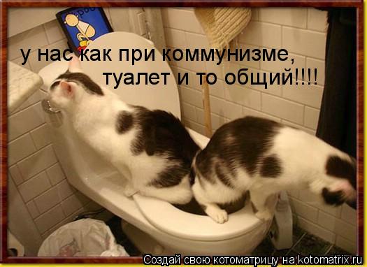 у нас как при коммунизме, туалет и то общий!!!!... Котоматрица: у нас как при коммунизме, туалет и то общий!!!!