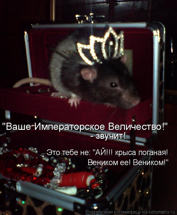 "Ваше Императорское Величество!" Это тебе не: "АЙ!!! крыса поганая! Веником ее! Веником!" - звучит!... Котоматрица: "Ваше Императорское Величество!" Это тебе не: "АЙ!!! крыса поганая! Веником ее! Веником!" - звучит!