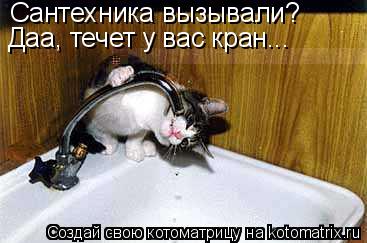 Сантехника вызывали? Даа, течет у вас кран...... Котоматрица: Сантехника вызывали? Даа, течет у вас кран...