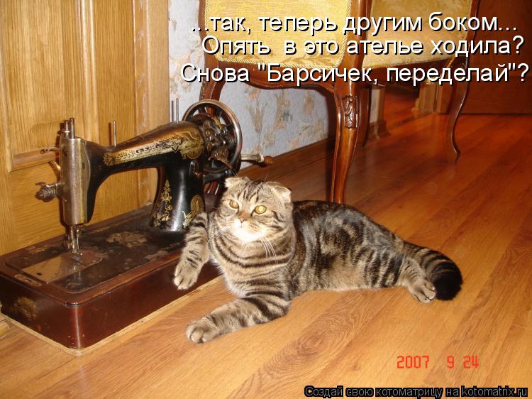 ...так, теперь другим боком... Опять в это ателье ходила? Снова "Барсичек, переделай"?... Котоматрица: ...так, теперь другим боком... Опять в это ателье ходила? Снова "Барсичек, переделай"?