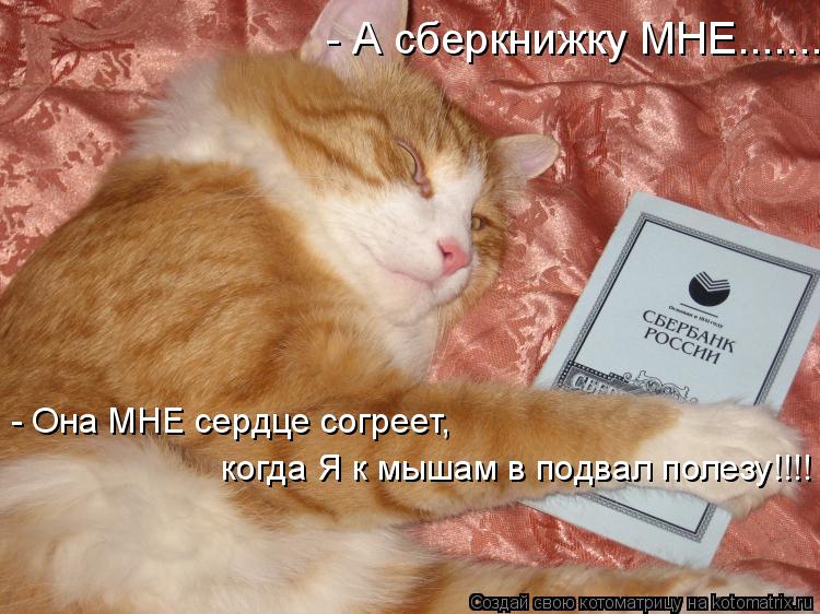 Котоматрица: когда Я к мышам в подвал полезу!!!! - Она МНЕ сердце согреет,  - А сберкнижку МНЕ.......