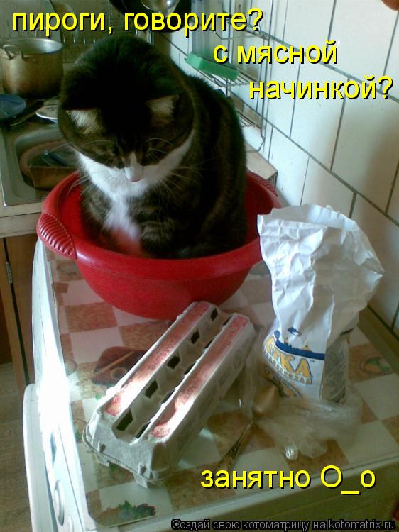 Котоматрица: пироги, говорите? с мясной  начинкой? занятно О_о