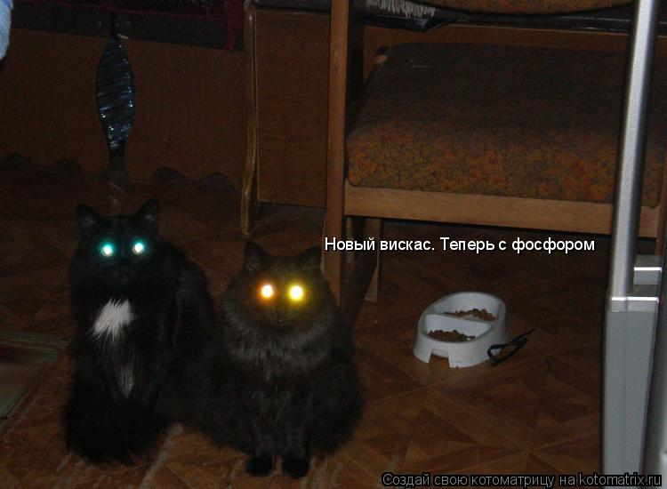 Котоматрица: Новый вискас. Теперь с фосфором