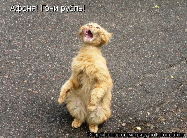 Котоматрица: Афоня! Гони рубль!
