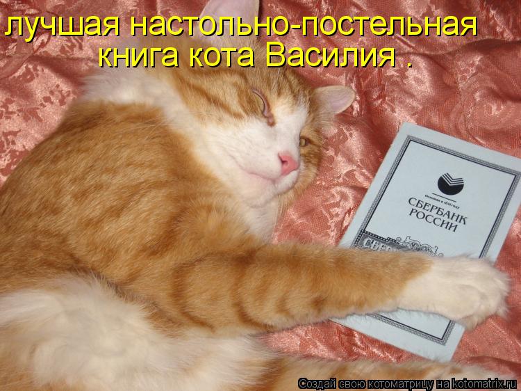 Котоматрица: лучшая настольно-постельная  книга кота Василия .