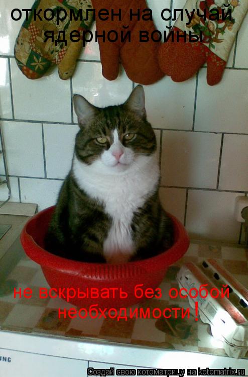 Котоматрица: откормлен на случай ядерной войны не вскрывать без особой  необходимости !