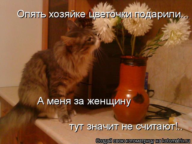 Котоматрица: Опять хозяйке цветочки подарили... А меня за женщину тут значит не считают!..