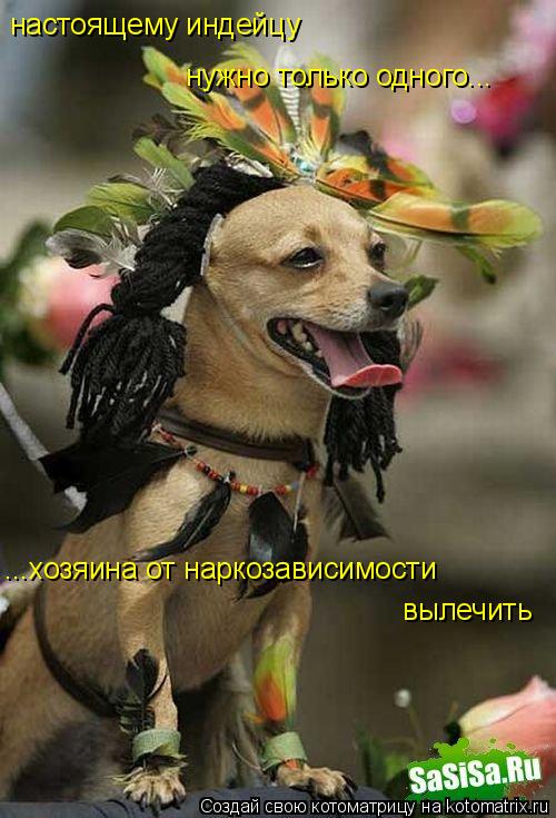 Котоматрица: настоящему индейцу  нужно только одного...  ...хозяина от наркозависимости вылечить