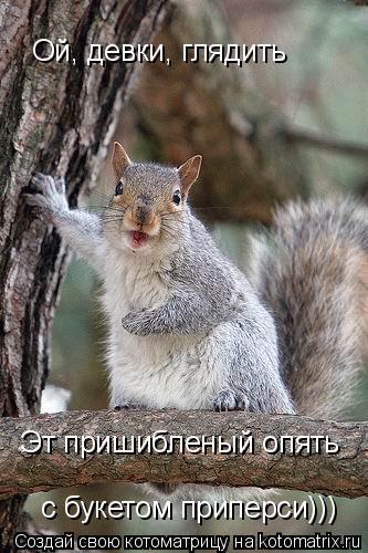Котоматрица: Ой, девки, глядить Эт пришибленый опять  с букетом приперси)))
