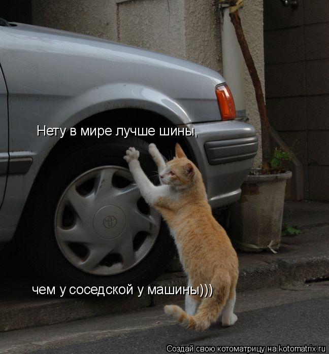 Нету в мире лучше шины, чем у соседской у машины)))... Котоматрица: Нету в мире лучше шины, чем у соседской у машины)))