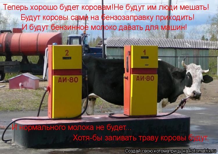 Теперь хорошо будет коровам!Не будут им люди мешать! Будут коровы сами на бензозаправку приходить! И ... Котоматрица: Теперь хорошо будет коровам!Не будут им люди мешать! Будут коровы сами на бензозаправку приходить! И будут бензинное молоко давать для маши