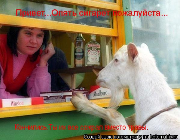 Привет...Опять сигарет пожалуйста... Кончились.Ты их все сожрал вместо травы.... Котоматрица: Привет...Опять сигарет пожалуйста... Кончились.Ты их все сожрал вместо травы.