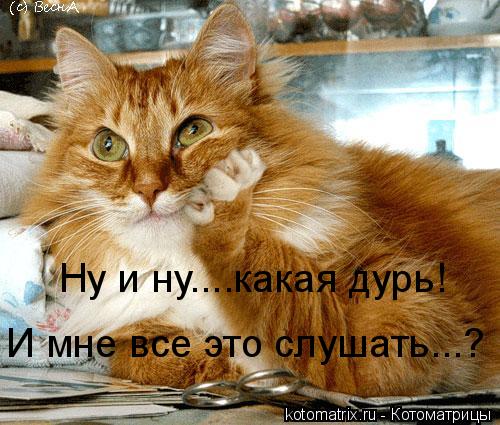 Ну и ну....какая дурь! Ну и ну....какая дурь! И мне все это слушать...?... Котоматрица: Ну и ну....какая дурь! Ну и ну....какая дурь! И мне все это слушать...?