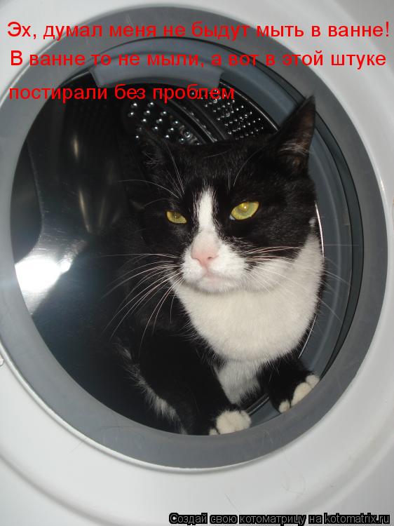 Котоматрица: Эх, думал меня не быдут мыть в ванне! В ванне то не мыли, а вот в этой штуке постирали без проблем