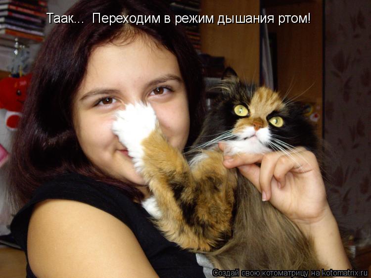 Котоматрица: Таак...  Переходим в режим дышания ртом!