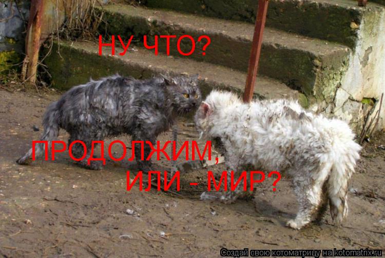 Котоматрица: НУ ЧТО? ПРОДОЛЖИМ,  ИЛИ - МИР?
