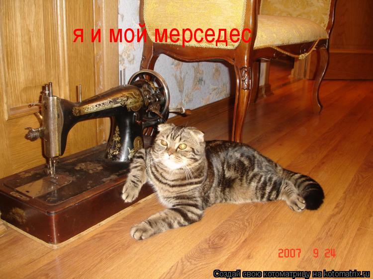 Котоматрица: я и мой мерседес