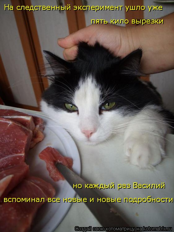 На следственный эксперимент ушло уже пять кило вырезки но каждый раз Василий вспоминал все новые и но... Котоматрица: На следственный эксперимент ушло уже пять кило вырезки но каждый раз Василий вспоминал все новые и новые подробности