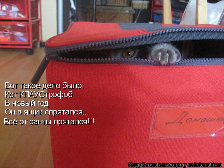 Котоматрица: Вот такое дело было: Кот КЛАУСтрофоб В новый год  Он в ящик спрятался... Всё от санты прятался!!!