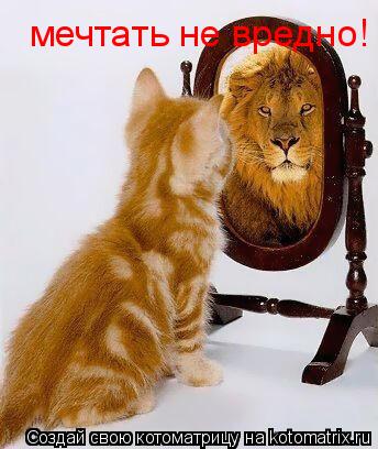 Котоматрица: мечтать не вредно!