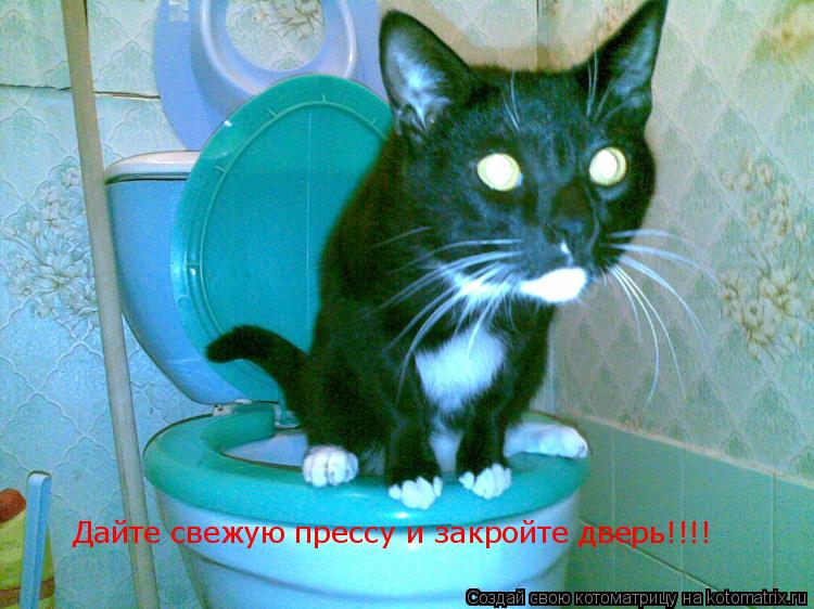 Котоматрица: Дайте свежую прессу и закройте дверь!!!!