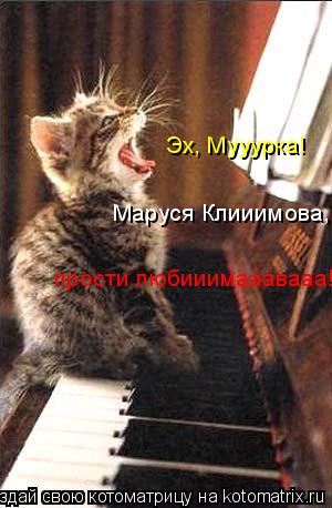 Котоматрица: Эх, Мууурка!  Маруся Клииимова, прости любииимааавааа!